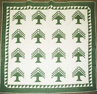 late 19th c pine tree pattern quilt, green & white with a sawtooth border, 6' 4ﾔ x 6',