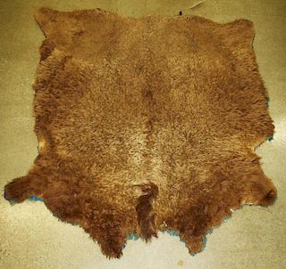 late 19th c buffalo robe, hand stitched, purplish red & blue felt edging on reverse, hide is still supple,  approximately 4' 11ﾔ x 5' 2ﾔ
