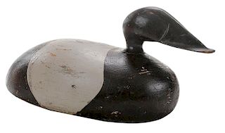 Carved and Painted Wooden Eider Duck