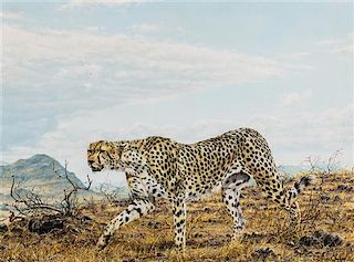 Simon Combes, (English/Kenyan, 1940-2004), Cheetah