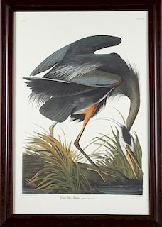 John James Audubon (1785-1851), "Great Blue Heron,