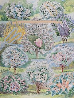 Flowering Trees _ The Pictorial Cyclopedia of Nature
