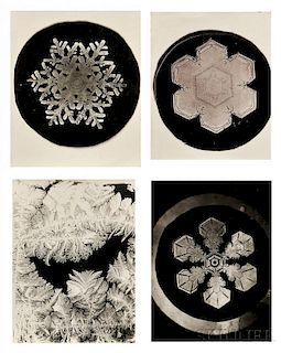 Wilson Alwyn Bentley (American, 1865-1931)      Four Photographs: Three of Snowflakes and One of Frost