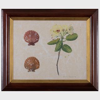 Lady Emma Tennant (b. 1943): Floral Studies; and Flower with Scallop Shells