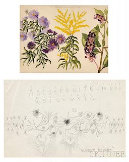 Charles Ephraim Burchfield (American, 1893-1967), Four Early Works on Paper: Wildflowers, Study of Tree Sprigs, Calligraphy Exercise, a