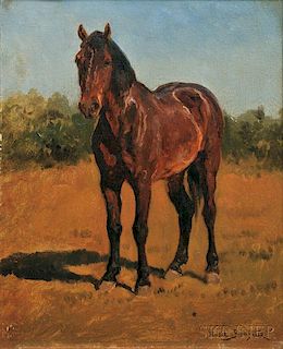 Rosa Bonheur (French, 1822-1899)      Study of a Standing Horse