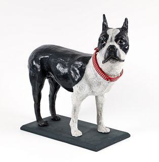 Alert Boston Terrier paper mache sculpture