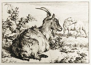 Adriaen Van de Velde - Lying Goat