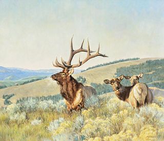 Nancy Glazier (b. 1947) - Mountain Bull Elk