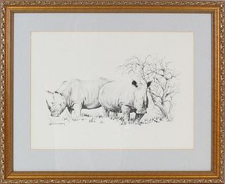 C B Cunningham Rhino Print
