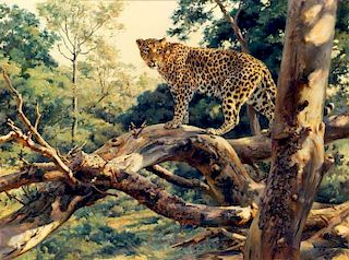 Donald Grant Wildlife Oil Painting Leopard