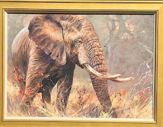 Kobus Moller Elephant Painting