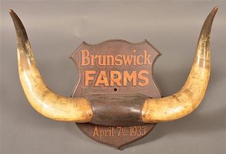 Brunswick Farms Steer Horn Wall Plaque.