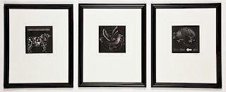 3 Mario Avati (1921-2009) Framed Mezzotints