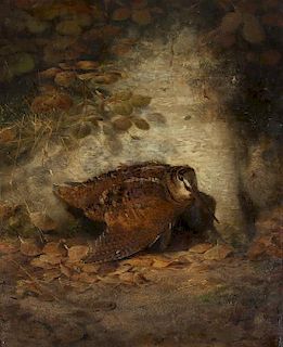 * Joseph Wolf, (German, 1820-1899), Autumn--Wounded Woodcock, 1850