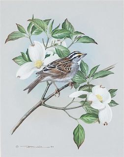 * Basil Ede, (British, b. 1931), White-Throated Sparrow, 1971