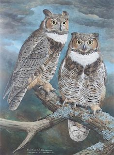 * Basil Ede, (British, b. 1931), Great Horned Owl, 1975-77