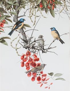 * Axel Amuchastegui, (Argentinean, 1921-2002), Blue and Yellow Tanager