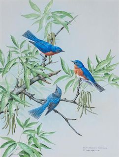 * Basil Ede, (British, b. 1931), Eastern Bluebirds, 1979