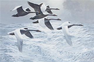 * Keith Shackleton, (British, b. 1923), Swans Across Atlantic, 1983