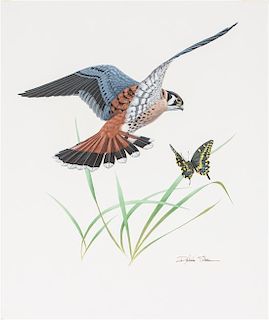 * Richard Sloan, (American, 1935-2007), Hawk and Butterfly