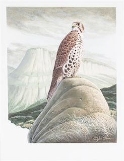 * Richard Sloan, (American, 1935-2007), Hawk on a Rock