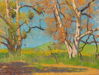 Arthur Franklyn Musgrave, Untitled (Trees and Shadows - New Mexico)