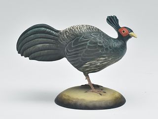 Miniature Kalij pheasant, Frank Finney, Cape Charles, Virginia.