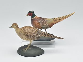 Pair of miniature pheasant, Frank Finney, Cape Charles, Virginia.