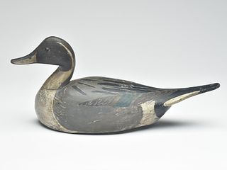 Pintail drake, by a member of the Sterling Family, Crisfield, Maryland.
