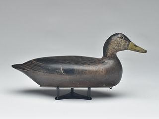 Rare black duck, Bert Graves, Peoria, Illinois, 2nd quarter 20th century.