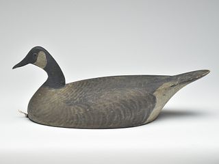 Canada goose, George Warin, Toronto, Ontario, last quarter 19th century.