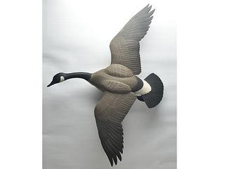Full size flying Canada goose, Eddie Wozny, Cambridge, Maryland.