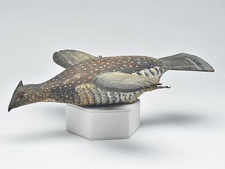 Rare flying grouse, Phillipe Sirois, Arrowsic, Maine.