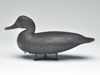 Hollow carved black duck, Charles Birch, Willis Wharf, Virginia.