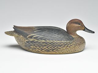 Pintail hen, Ward Brothers, Crisfield, Maryland.
