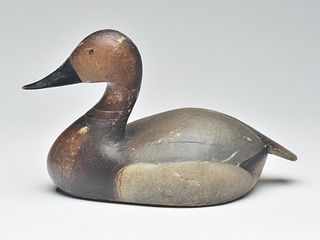 Canvasback hen, Ward Brothers or possibly Noah Sterling, Crisfield, Maryland, 1st quarter 20th century.
