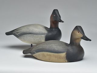 Pair of canvasbacks, Ward Brothers, Crisfield, Maryland.