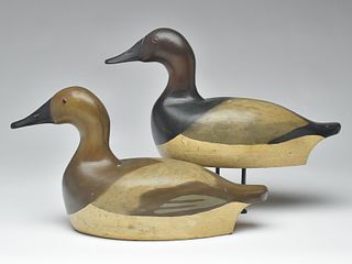 Pair of oversize canvasbacks from Wisconsin, 2nd quarter 20th century.