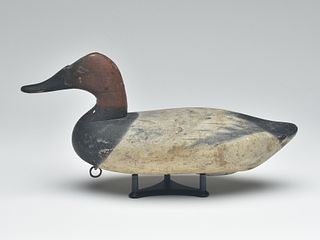 Early canvasback, James Currier, Havre de Grace, Maryland, 2nd quarter 20th century.