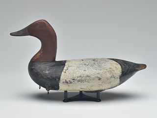 High head canvasback, Taylor Boyd, Perryville, Maryland, 1st quarter 20th century.