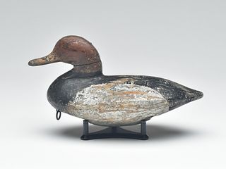 Canvasback, Ben Dye, Perryville, Maryland, 3rd quarter 19th century.