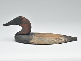 Rare wooden canvasback wingduck, unknown carver, last quarter 19th century.