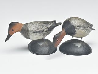 Miniature pair of canvasbacks, Elmer Crowell, East Harwich, Massachusetts.