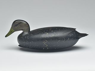 Black duck, William Quinn, Tullytown, Pennsylvania, 2nd quarter 20th century.