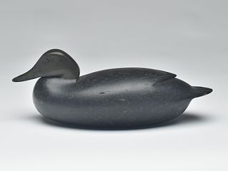 Black duck, Joe King, Edgely, Pennsylvania, 2nd quarter 20th century.