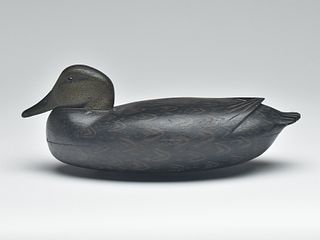 Black duck, William Walker, Edgely Pennsylvania, 2nd quarter 20th century.