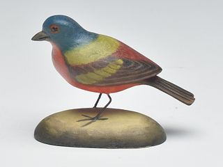 Painted bunting, Frank Finney, Cape Charles, Virginia.