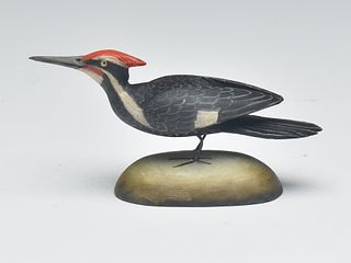 Miniature pileated woodpecker, Frank Finney, Cape Charles, Virginia.