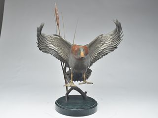 Bronze of a landing mallard with out stretched wings, 20th century.